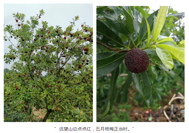 1590462212835763.png 微信截图_20200526104238.png